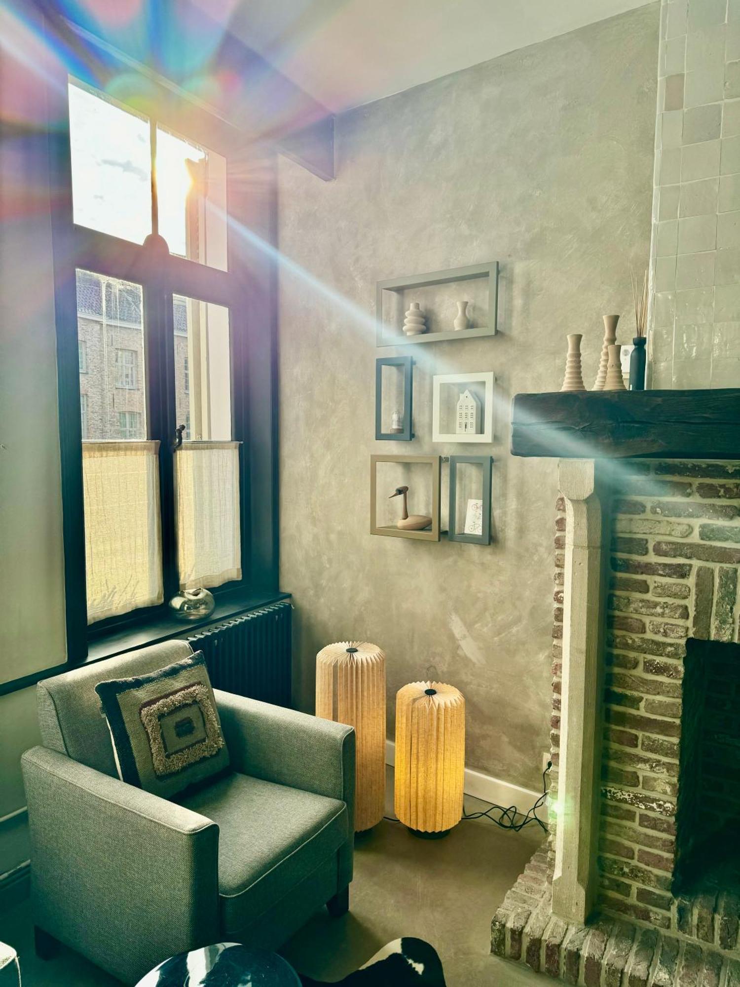 Sleeping Swan Bed & Breakfast Bruges Exterior photo